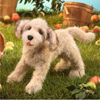 Folkmanis Handpuppen Handpuppe Folkmanis Handpuppe Hund Labradoodle 3136 (Packung)