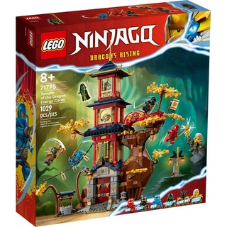 LEGO® Konstruktionsspielsteine NINJAGO 71795 Tempel der Drachenpower bunt