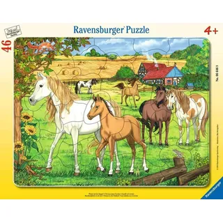 Ravensburger Kinderpuzzle 06646 - Pferde auf der Koppel - Rahmenpuzzle