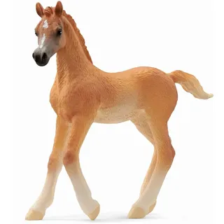 Schleich - Horse Club - Araber Fohlen / Schleich / Spiele (außer Software)