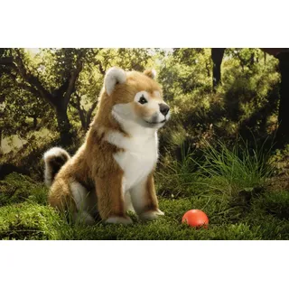 Kösen Shiba-Inu Welpe sitzend 22cm