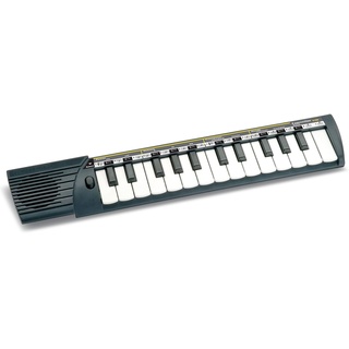 Bontempi 15 2500 Elektronik-Keyboard, Schwarz/Weiß, Medium