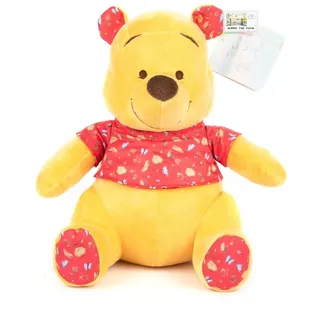 Disney Umarmung Winnie mit Sound, 30 cm - Bunt