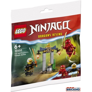 LEGO Ninjago 30650 Kais und Raptons Duell im Tempel 30650