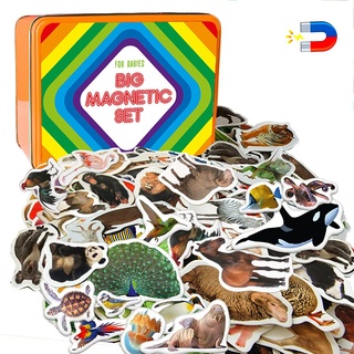 Magdum 110 Set Magnete Kinder für magnettafel Bauernhof+ Zoo+ Waldtiere+ Vögel+ Meerestiere Foto - Magnet Spielzeug Kinder - Kühlschrankmagnete Kinder -Spielzeug ab 3 Jahre - Lernspiele ab 3 Jahre