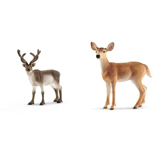 SCHLEICH® 14837 Rentier, für Kinder ab 3+ Jahren, WILD Life - Spielfigur & ® 14819 Weißwedelkuh, für Kinder ab 3+ Jahren, WILD Life - Spielfigur