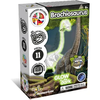 Science4you Brachiosaurus Ausgrabungsset - Archeologie Set für Kinder das im Dunkeln leuchtet, Graben Sie Ihr Dinosaurier Spielzeug, Geschenk, Dino Spiel für Jungen und Mädchen, Mittel