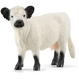 Schleich 13960 - Farm World, Galloway Kuh, Tierfigur, Länge: 14 cm