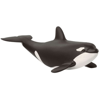 Orca Junges