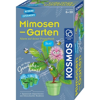 KOSMOS 657802 Mimosen-Garten, Pflanzen züchten und erforschen, Komplett-Set mit Mini-Gewächshaus, Experimentier-Set für Kinder ab 6 - 10 Jahre, Mitbringexperiment