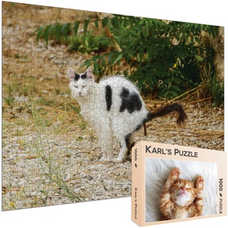 Scherzpuzzle Geschenk Kätzchen/Katze - 1000 Teile Puzzle mit falschem Kartonmotiv als lustige Geschenkidee oder Scherzartikel