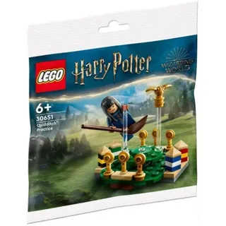 LEGO® Harry Potter 30651 Quidditch Training