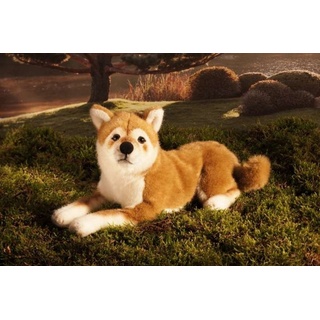 Kösen Kuscheltier Kösen Shiba-Inu liegend 33 cm Stofftier Hund (Hund Shiba-Inu liegend 33 cm, Made in Germany)