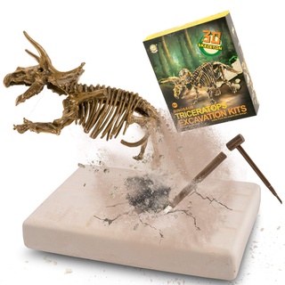 MUSCCCM Triceratops Ausgrabungsset für Kinder, Dino Spielzeug, 3D-Skelett Dinosaur Modell Dino Ausgrabungsset, Dino Party Kindergeburtstag Spiele, Dino Geschenk Mitgebsel Kindergeburtstag Junge