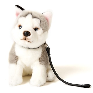 Uni-Toys - Husky grau, sitzend (mit Leine) - 24 cm (Höhe) - Plüsch-Hund - Plüschtier, Kuscheltier