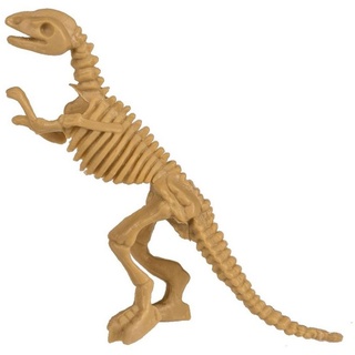 Marabellas Shop Spielfigur Dinosaurier Fossilien ca. 4 x 8 cm Ausgrabungsset Dino Skelett, verschiedene Modelle beige Velociraptor