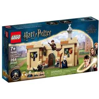 LEGO® Harry Potter HogwartsTM: Erste Flugstunde 76395