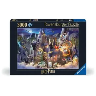 Harry Potter 17561 - Hogwarts Interior