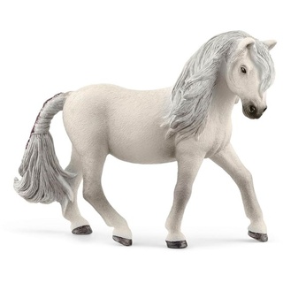 Iceland Pony Mare