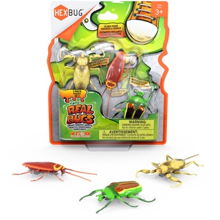 Hexbug 477-7801 501094 Nano Real Bugs 3-Pack, Scherzartikel, Insekten-Imitation, Krabbelspaß, ab 3 Jahre