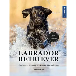 Labrador Retriever Geschichte, Haltung, Erziehung, Beschäftigung