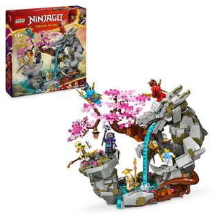 LEGO NINJAGO Drachenstein-Tempel Drachen-Spielzeug mit 6 Ninja-Figuren, großes Set zum Bauen, Spielen und Ausstellen, Geschenk zum Geburtstag für...
