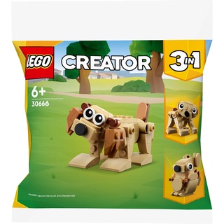 LEGO Creator 30666 Geschenktiere Hundebär Eichhörnchen 3 in 1 Polybagged 75-teiliges Set