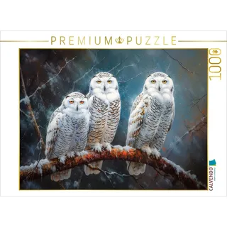 CALVENDO Puzzle Schnee-Eulen | 1000 Teile Lege-Größe 64 x 48 cm Foto-Puzzle für glückliche Stunden