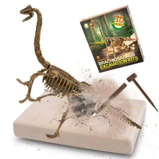 MUSCCCM Brachiosaurus Ausgrabungsset für Kinder, Dino Spielzeug, 3D-Skelett Dinosaur Modell Dino Ausgrabungsset, Dino Party Kindergeburtstag Spiele, Dino Geschenk Mitgebsel Kindergeburtstag Junge