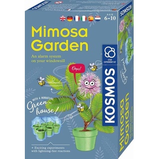 Kosmos 616809 - Mimosa Garden V1