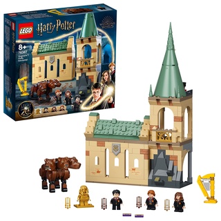 LEGO 76387 Harry Potter TM HogwartsTM: Begegnung mit Fluffy