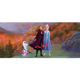 Disney Poster Die Eiskönigin Anna & Elsa Blau Lila und Orange 202 x 90 cm 600906