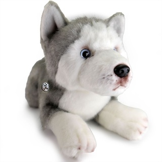 Husky Hund Schlittenhund Kuscheltier Plüschhund liegend blaue Augen ACE