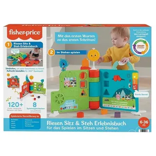 Mattel® Spiel Mattel HCL07 - Fisher-Price - Aktivitätsspielzeug, elektronisches Erl bunt