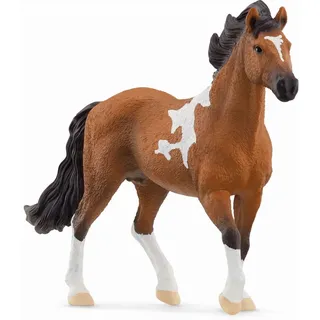 Schleich - Horse Club - Mangalarga Marchador Hengst / Schleich / Spiele (außer Software)