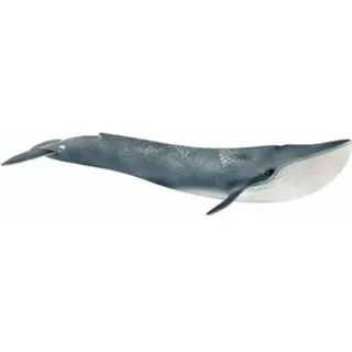 14806 Blue Whale