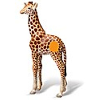 Ravensburger 003594 tiptoi® - Spielfigur Giraffenj