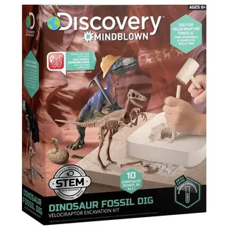 Discovery Lernspielzeug Mindblown Dinosaurier Fossil Ausgrabungsset Velociraptor, Skelett für Kinder ab 6 Jahren beige